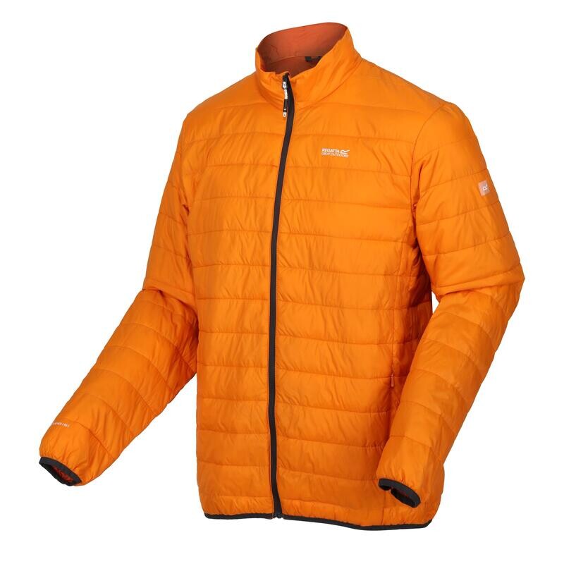 

Hillpack мужская прогулочная куртка с перегородками REGATTA, цвет orange