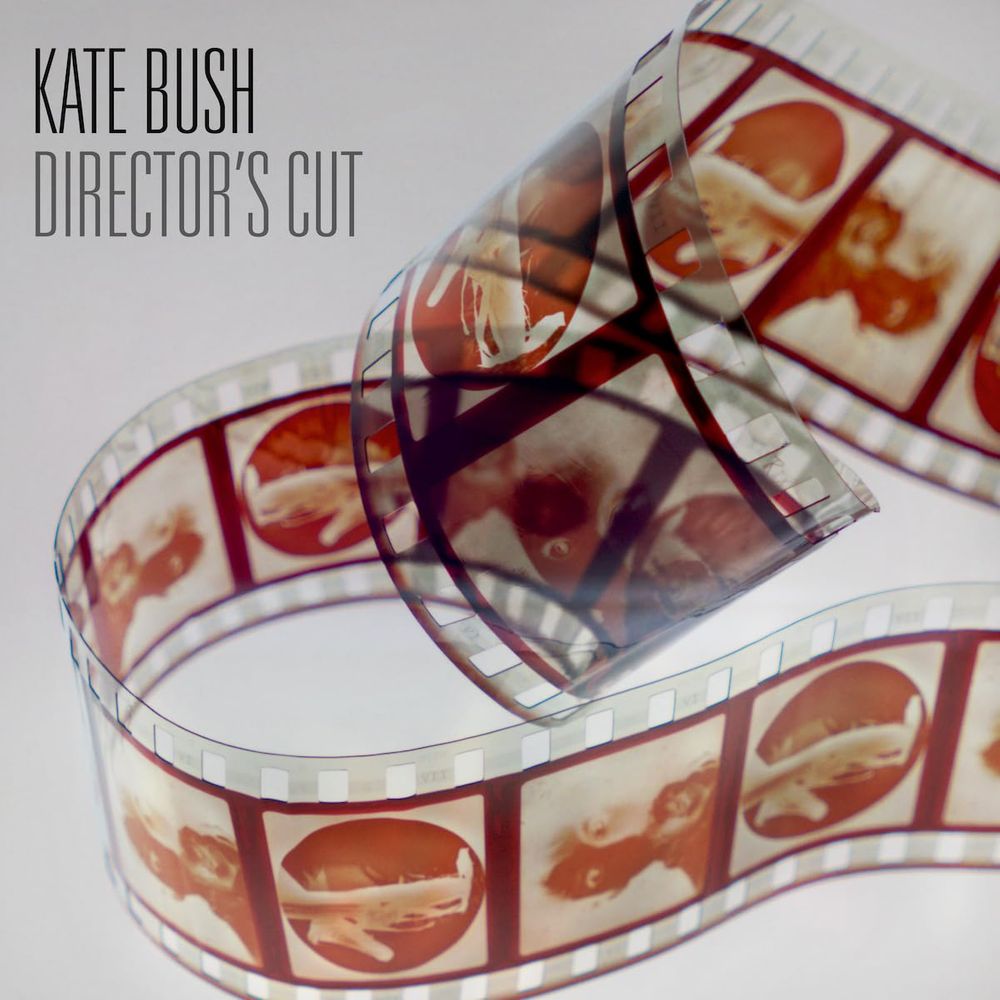 

Виниловая пластинка LP Director's Cut [180 Gram Hazy Red Vinyl] - Kate Bush