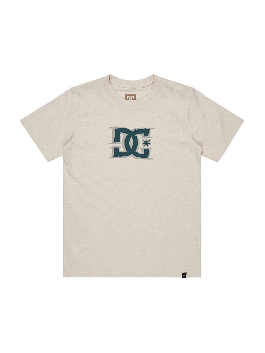 

Футболка Performance DC Shoes BIG DEAL STAR, белый