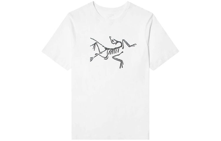 

Мужская футболка Arcteryx, цвет Black