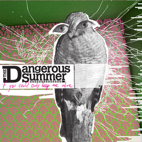 

CD диск Dangerous Summer: If You Could Only Keep Me Alive