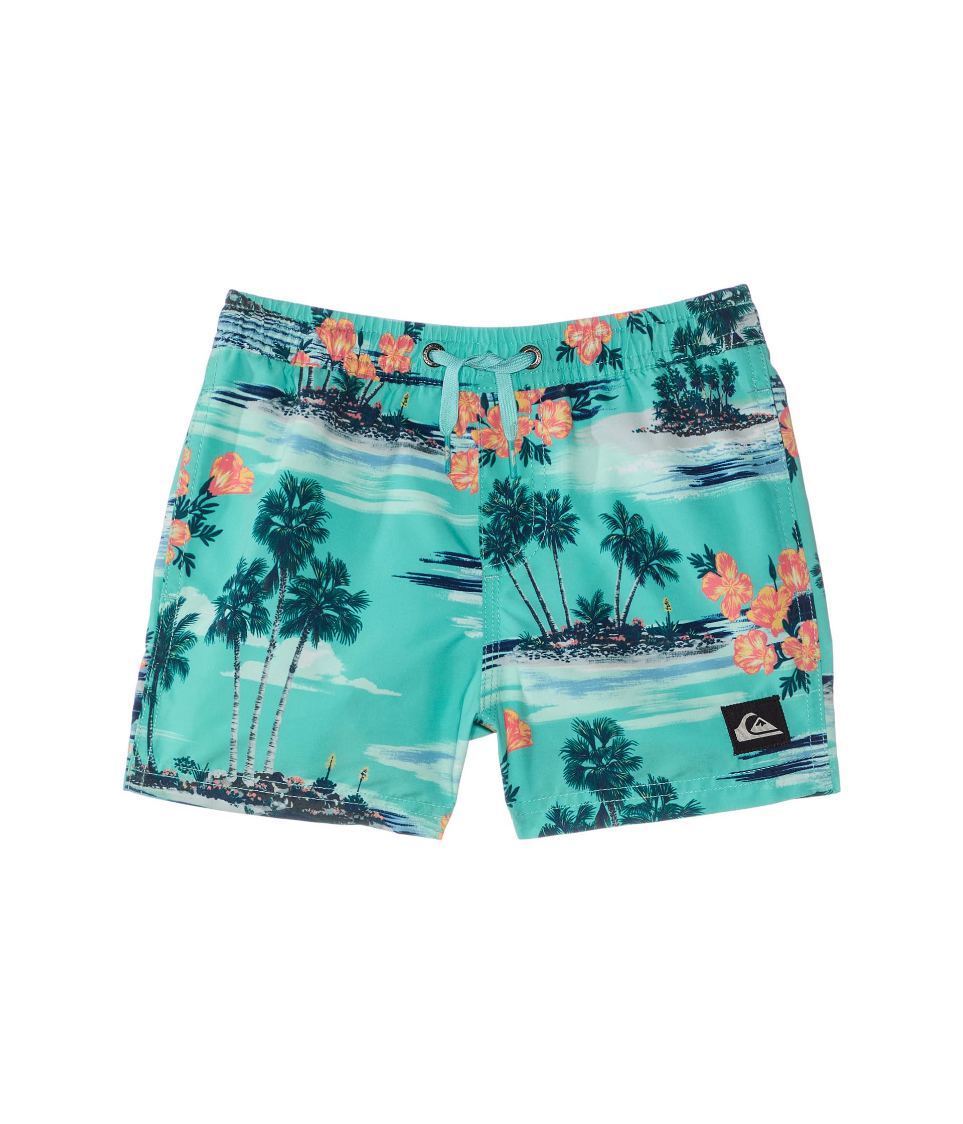 

Шорты Quiksilver Kids Everyday Mix Volley, синий