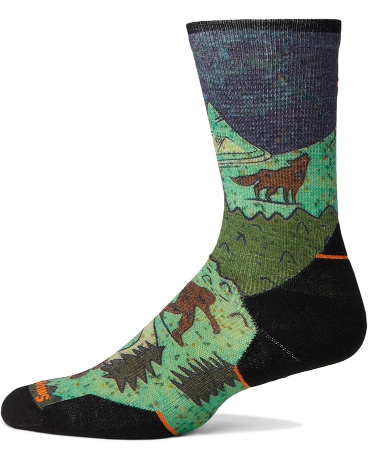 

Носки Smartwool Trail Run Targeted Cushion Neature Print Crew Socks, цвет Twilight Blue