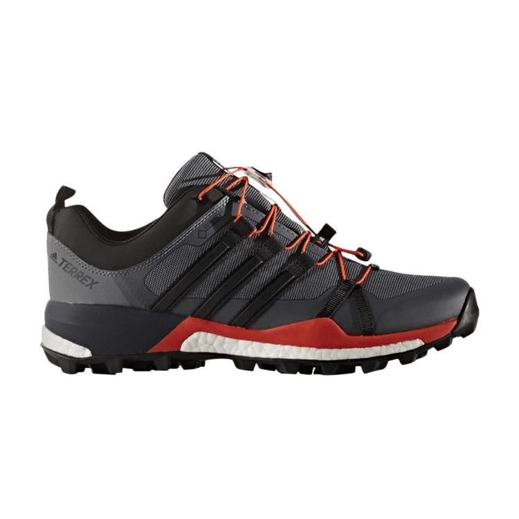 

Кроссовки Terrex Skychaser GTX 'Vista Grey', серый