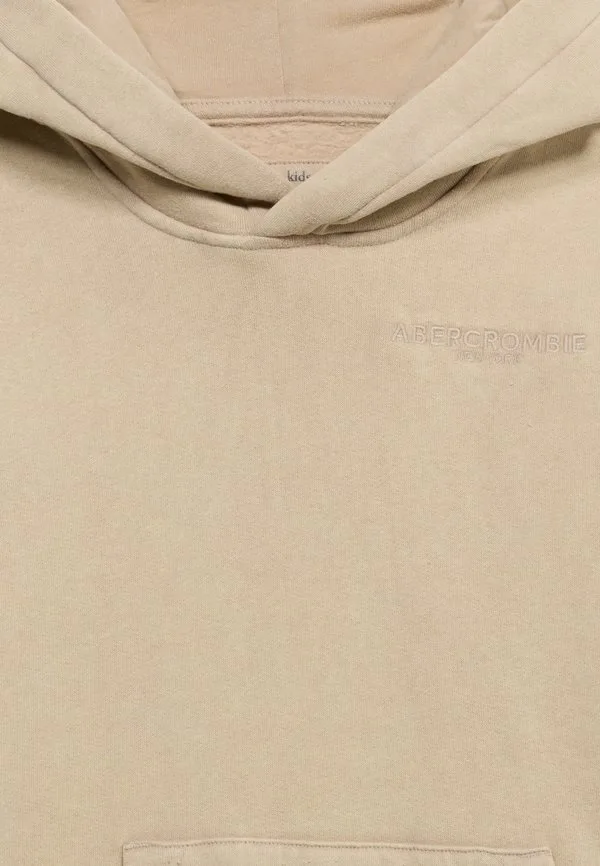 Выцветшая толстовка Abercrombie & Fitch, Simply Taupe — фото 4