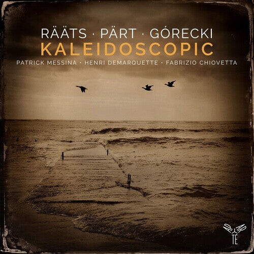 

CD диск Messina, Patrick / Demarquette, Henri: Kaleidoscopic