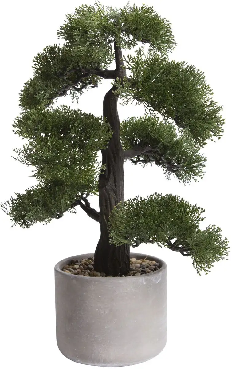 

Искусственный бонсай Botanic-Haus "Ceder Bonsai" Ø/30х50 см, зеленый