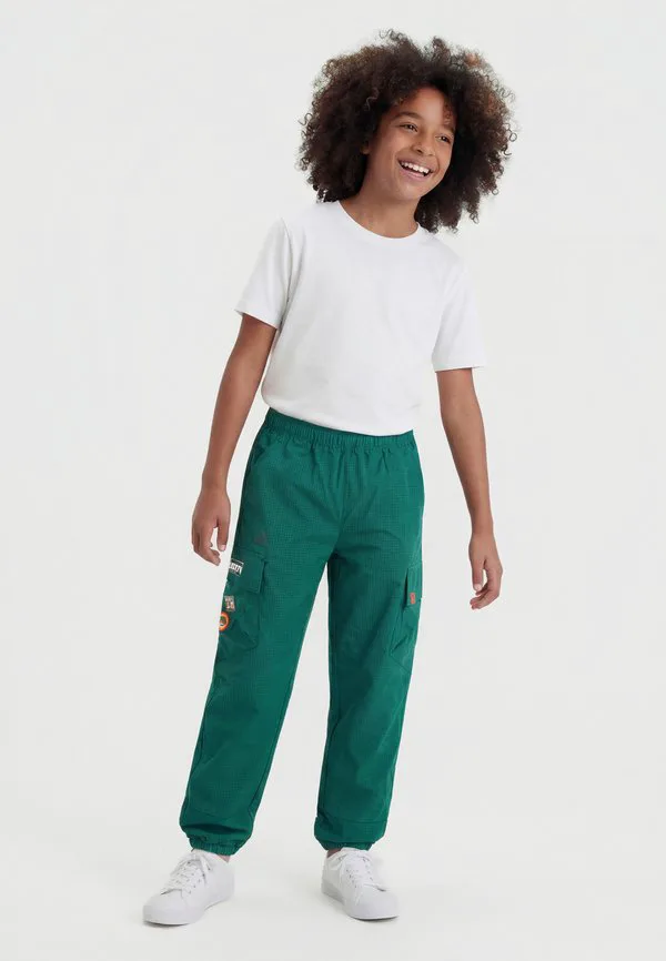 Унисекс спортивные штаны minecraft Adidas Terrex, Collegiate Green