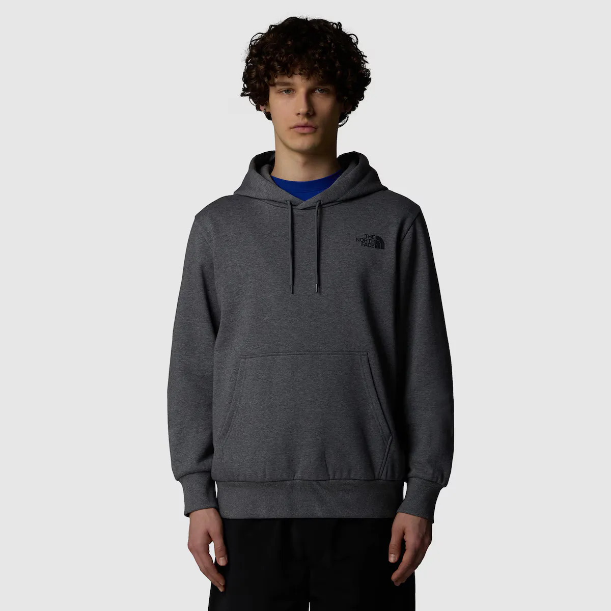 

Мужская толстовка Simple Dome The North Face, серый