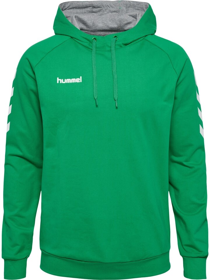 

Худи Hummel Cotton Hmlgo Multisport Herren, цвет jelly bean