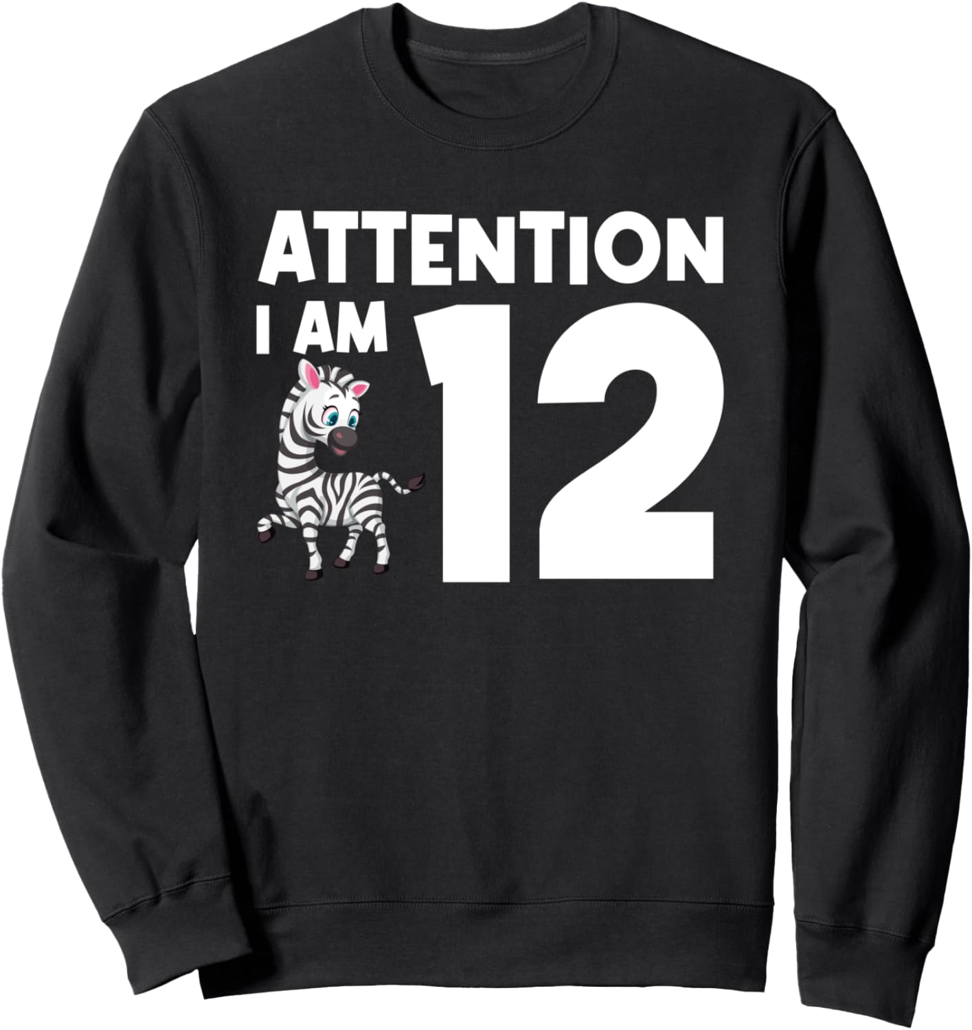 

Примечание: Мне 12 лет, толстовка с надписью Зебра 12Th Birthday 12 Years Old Gifts, черный