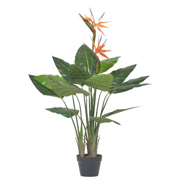 

Декоративное растение Homescapes Strelitzia Reginae, черный