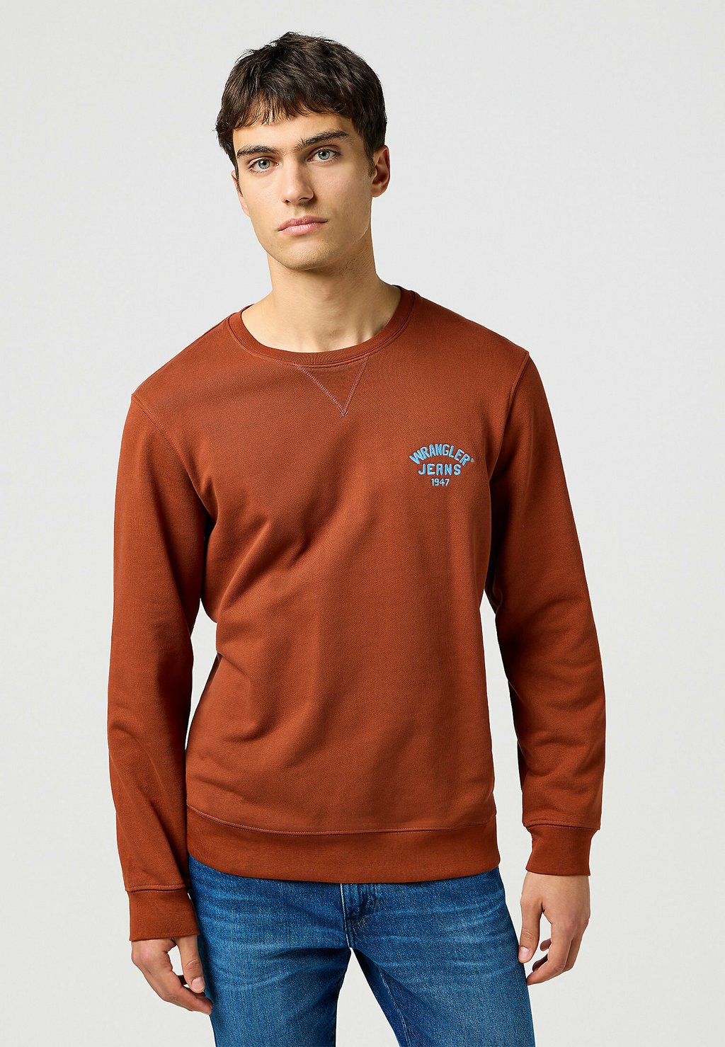 

Толстовка SMALL LOGO CREW Wrangler, коричневый