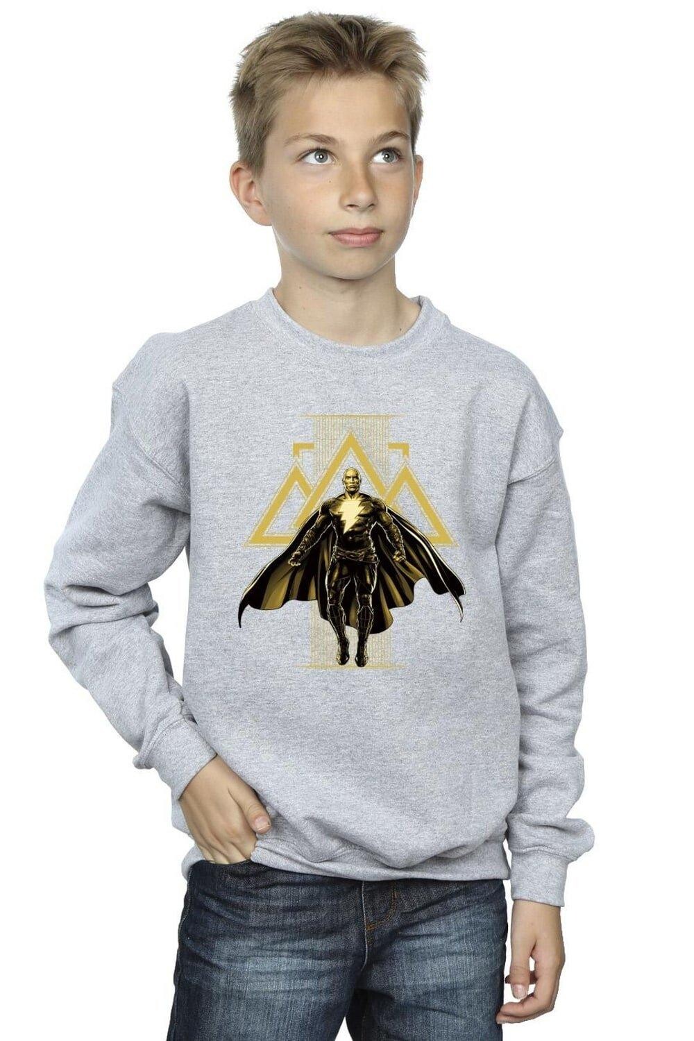 

Черный - Толстовка с золотыми символами Adam Rising DC Comics, серый
