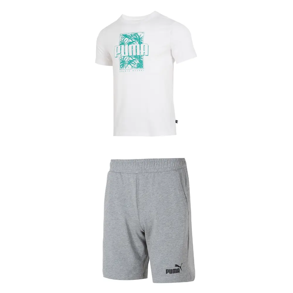 

Повседневная спортивная одежда для мужчин Белый/серый Puma, белый/серый
