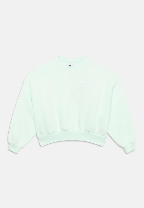 Клубная толстовка Nike Sportswear, Barely Green/White — фото 3