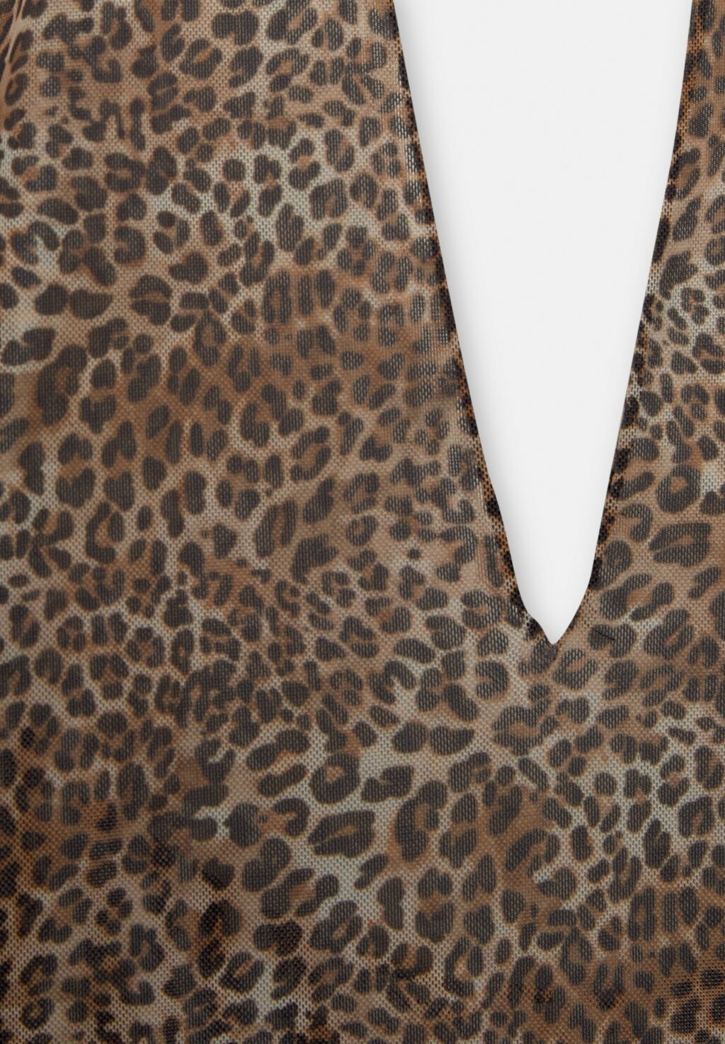 

Боди ANIMAL PRINT PULL&BEAR, коричневый