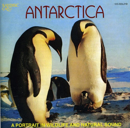 

CD диск Antarctica: Portrait in Wildlife & Natural Sound: Antarctica: A Portrait In Wildlife and Natural Sound