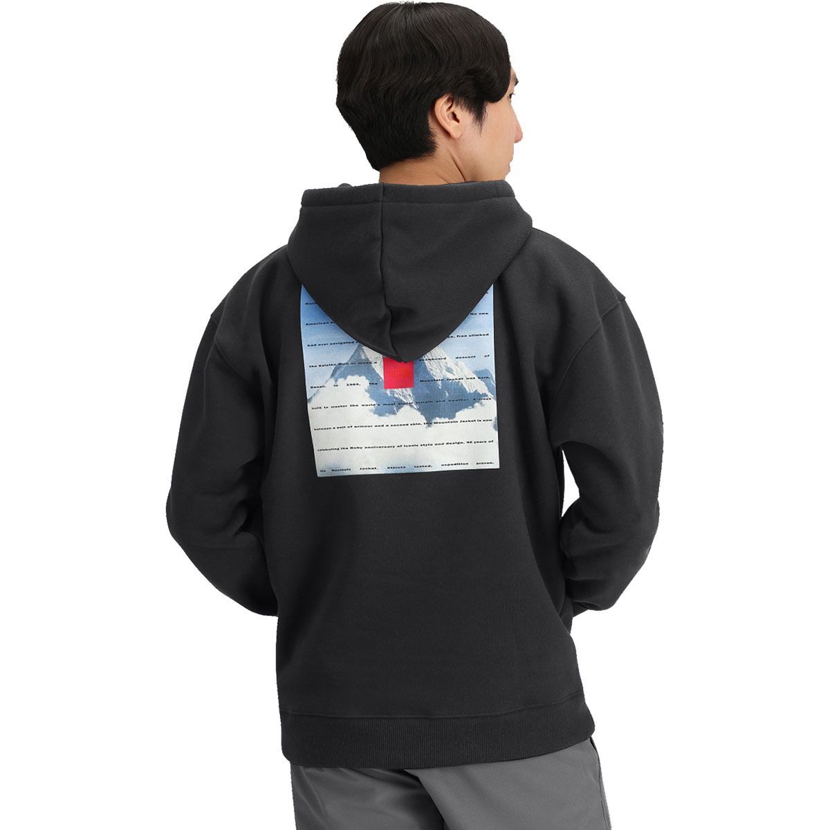 

Толстовка 40th Anniversary Mountain Heavyweight The North Face, черный