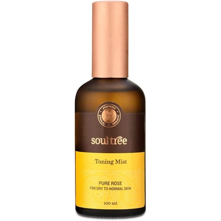 

SOULTREE Pure Rose Тонизирующий спрей для сухой и нормальной кожи 100 мл
