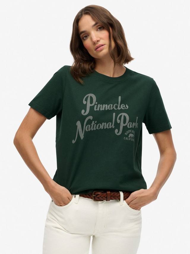 

Расслабленная футболка Lo-fi Outdoors Superdry, Enamel Green