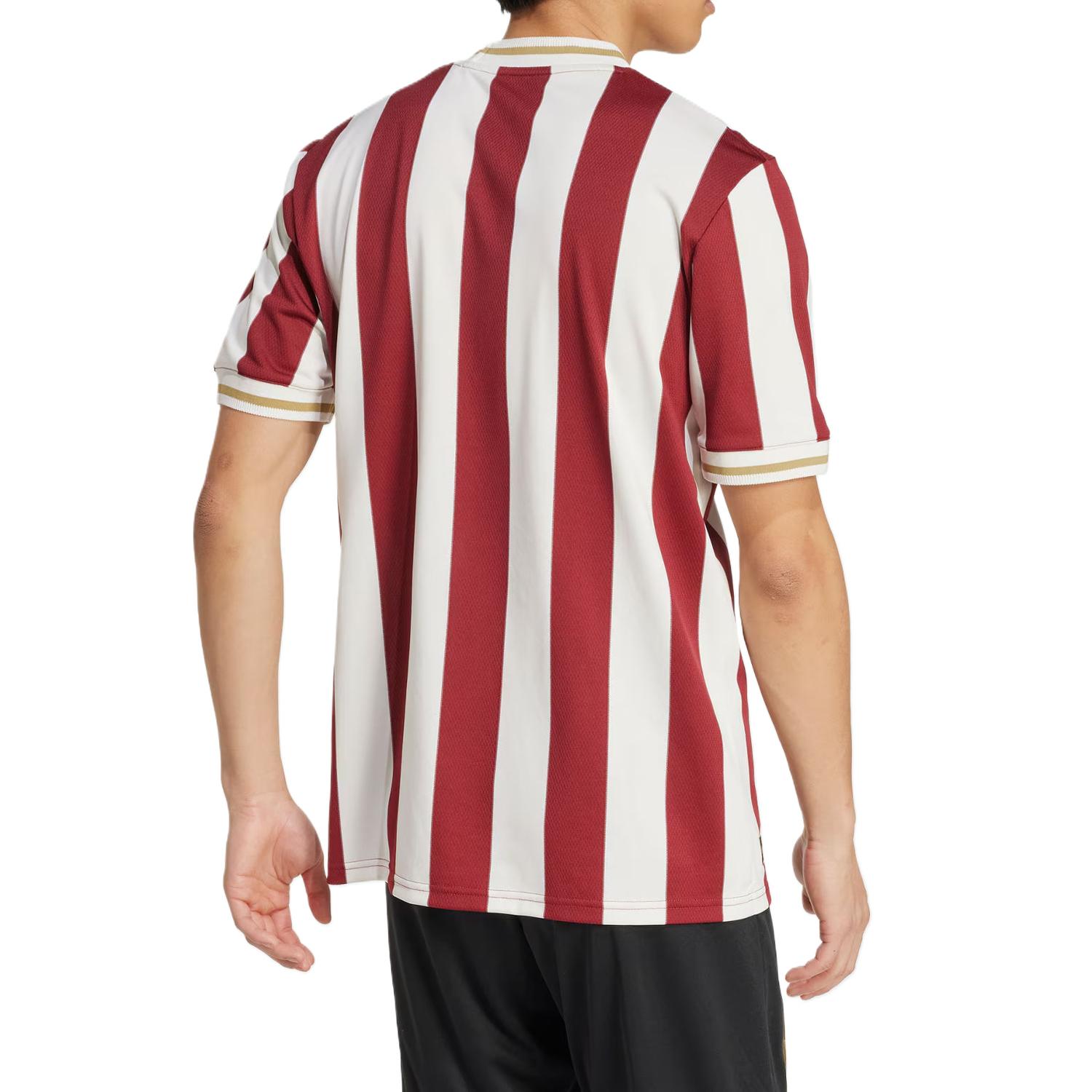Футболка юбилейная Fc Nürnberg Adidas Originals, темно-красный — фото 4