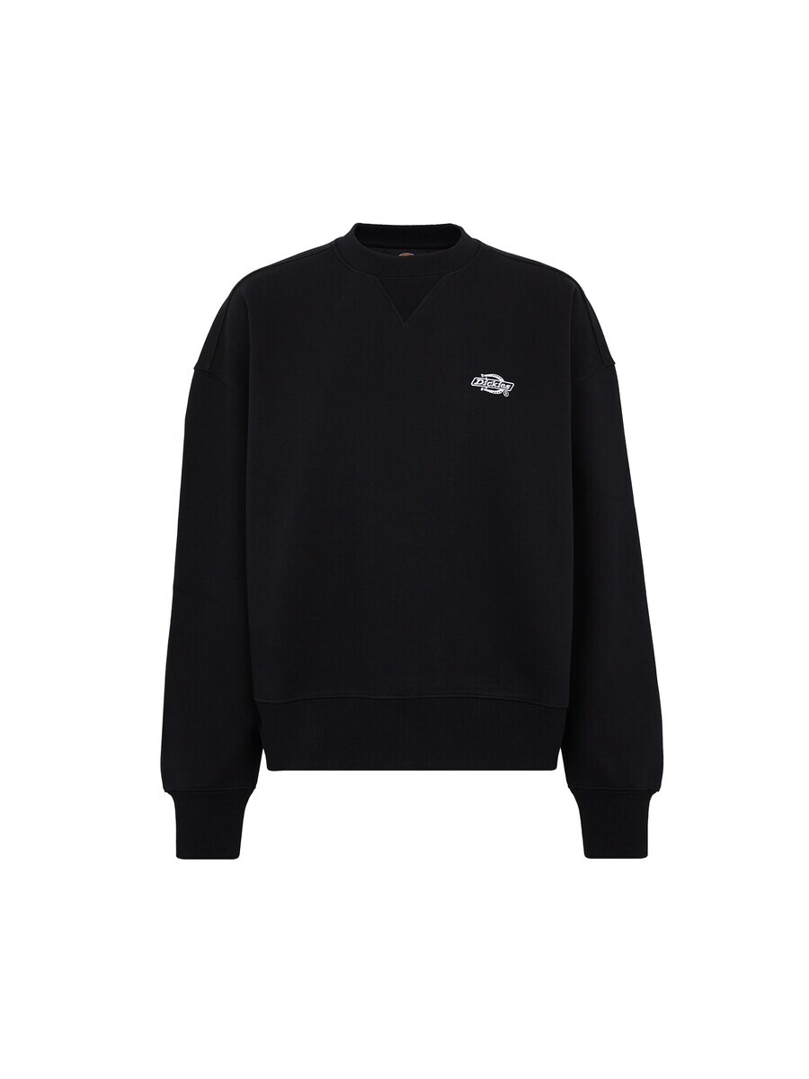 

Толстовка Dickies SUMMERDALE, черный
