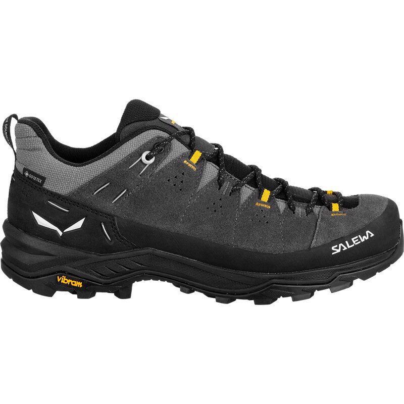 

Трекинговые ботинки Alp Trainer 2 GTX M Salewa, мультиколор