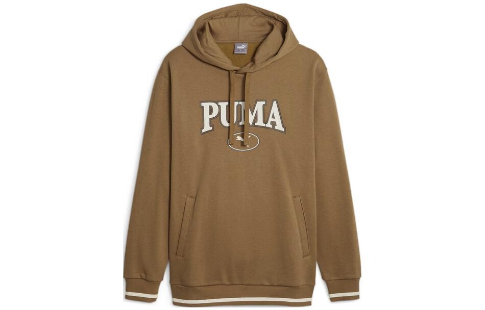 

Мужская толстовка Puma, цвет Brown