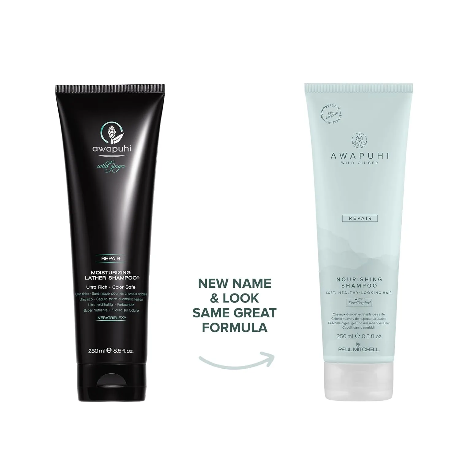 Питательный шампунь Awapuhi Wild Ginger от Paul Mitchell, ультранасыщенная формула, безопасная для окрашенных волос, для сухих, поврежденных и окрашенных волос. — фото 2