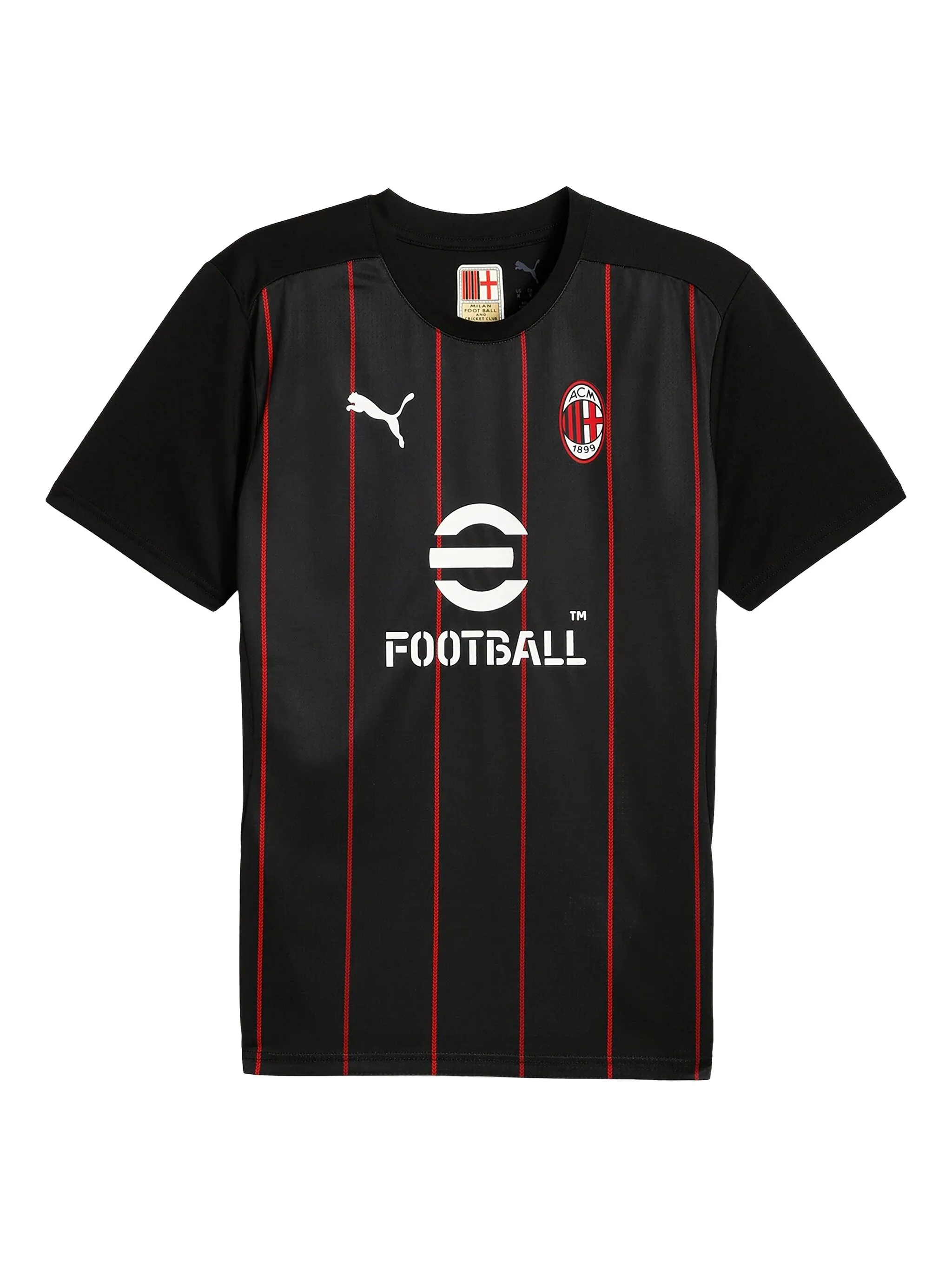 

Футболка AC Milan Pre-match Puma, черный