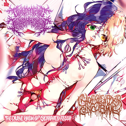

CD диск Dehumanizing Itatrain Worship: Divine Union Of Serrated Flesh