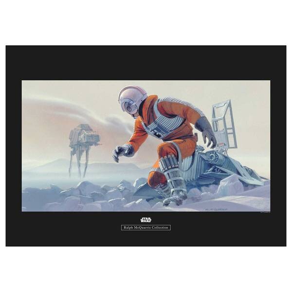 

Фреска Komar Star Wars Hoth Battle Pilot, разноцветный