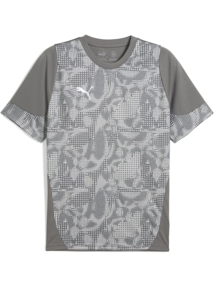 

Спортивная футболка TeamCUP Training Jersey серого цвета Puma