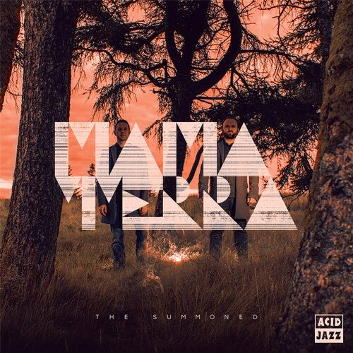 

Виниловая пластинка Mama Terra - Summoned