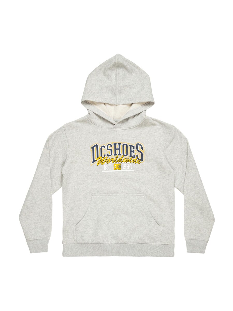 

Спортивная толстовка DC Shoes TAILGATE, светло-серый