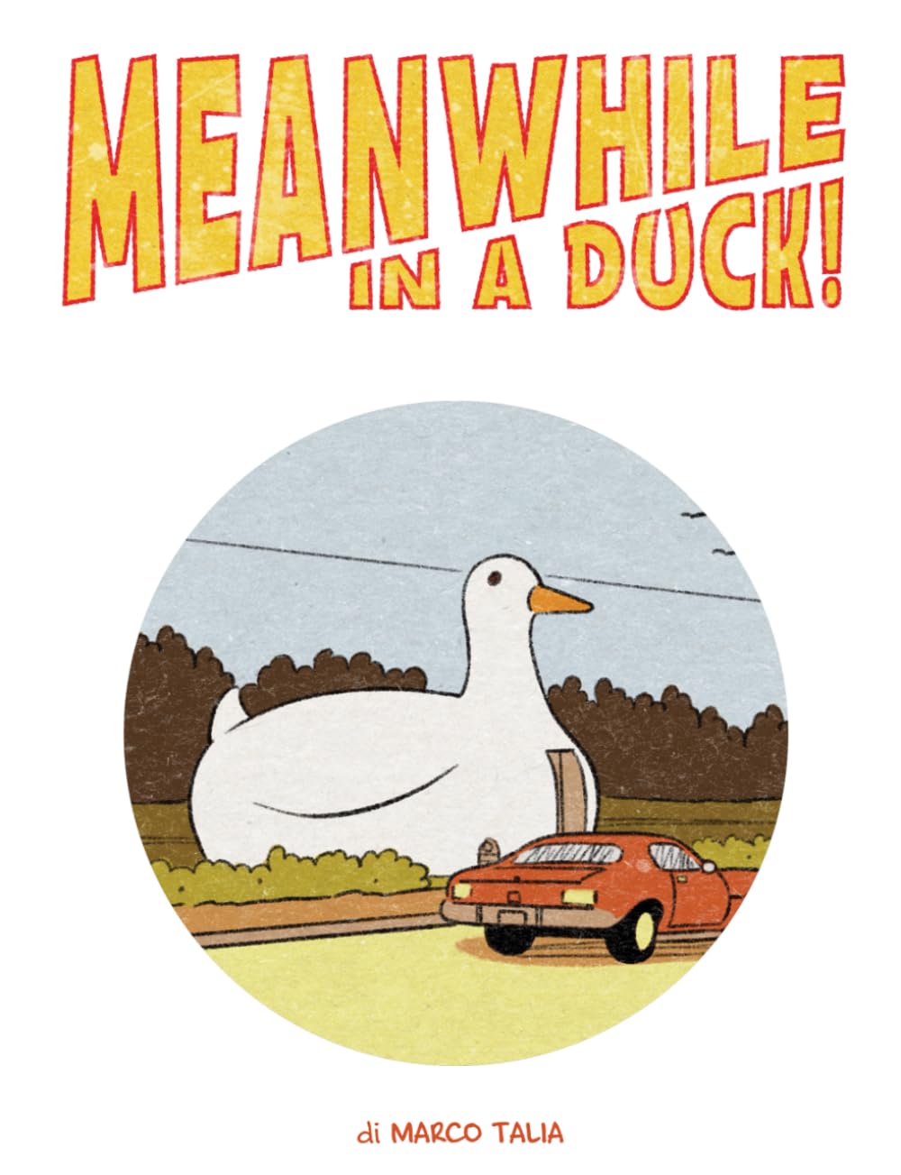 

Meanwhile in a duck! (Italian Edition) (Independently published)