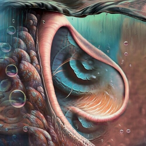 

Виниловая пластинка Jyrki 69 - Meddle Reimagined - Tribute To Pink Floyd