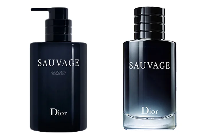 DIOR Гель для душа с мужским ароматом, Wild Men's Light Perfume EDT 100ml+Wild Men's Body Wash 250ml