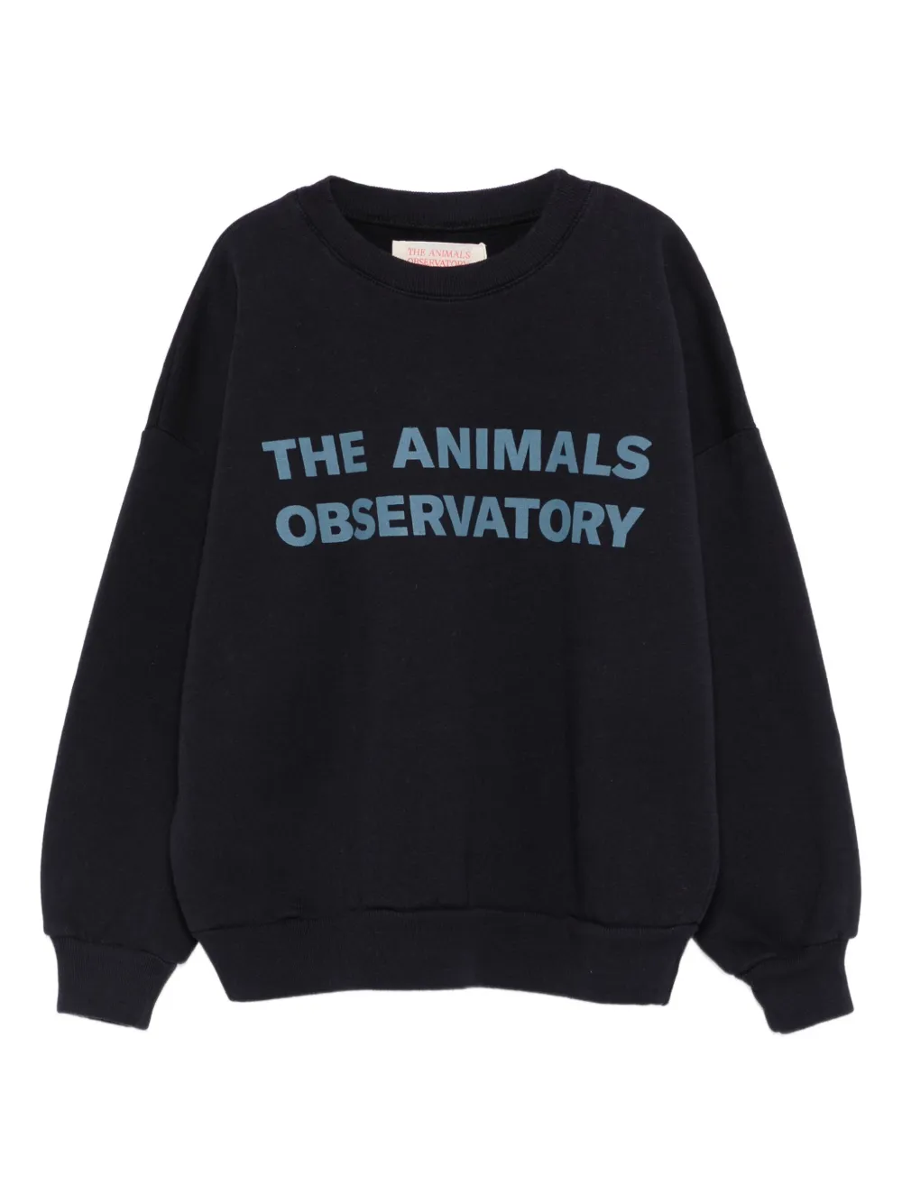 

Толстовка Leo с логотипом The Animals Observatory, синий