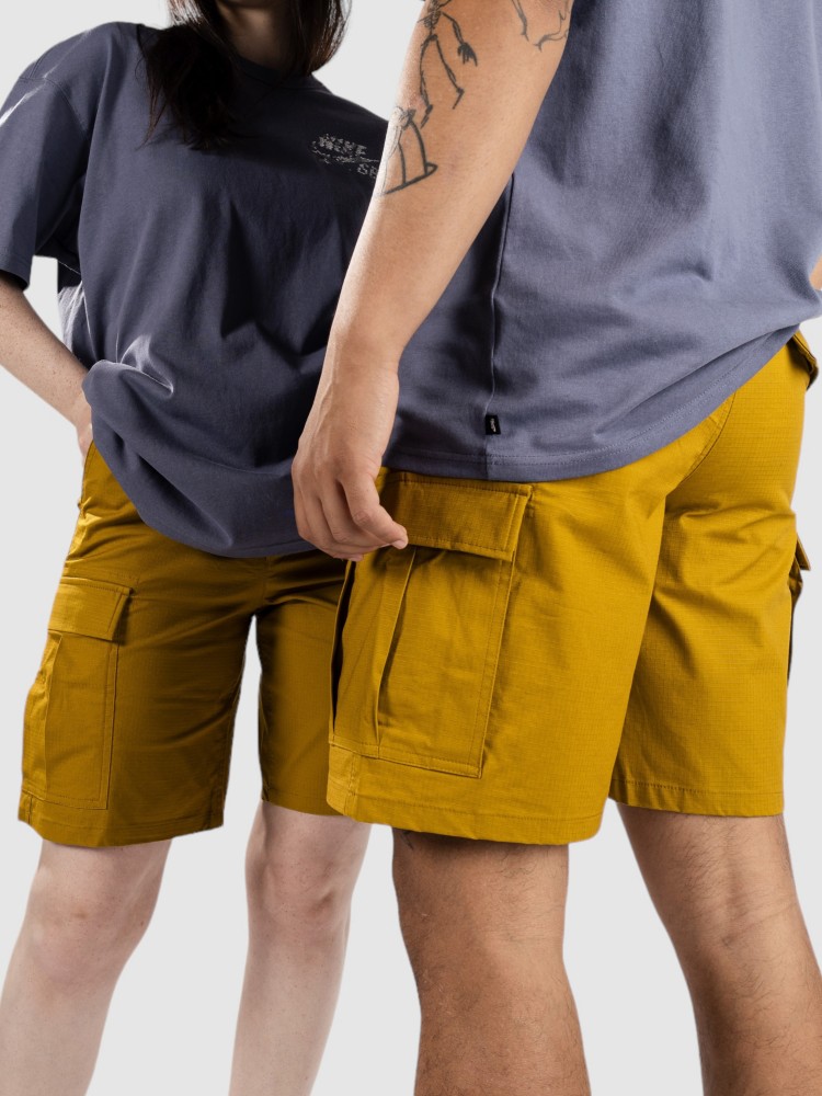 Шорты Nike Sb Kearny Shorts, bronzine — фото 2