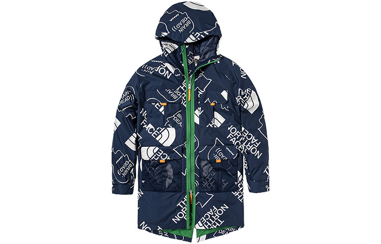 

THE NORTH FACE Мужская куртка, цвет Blue