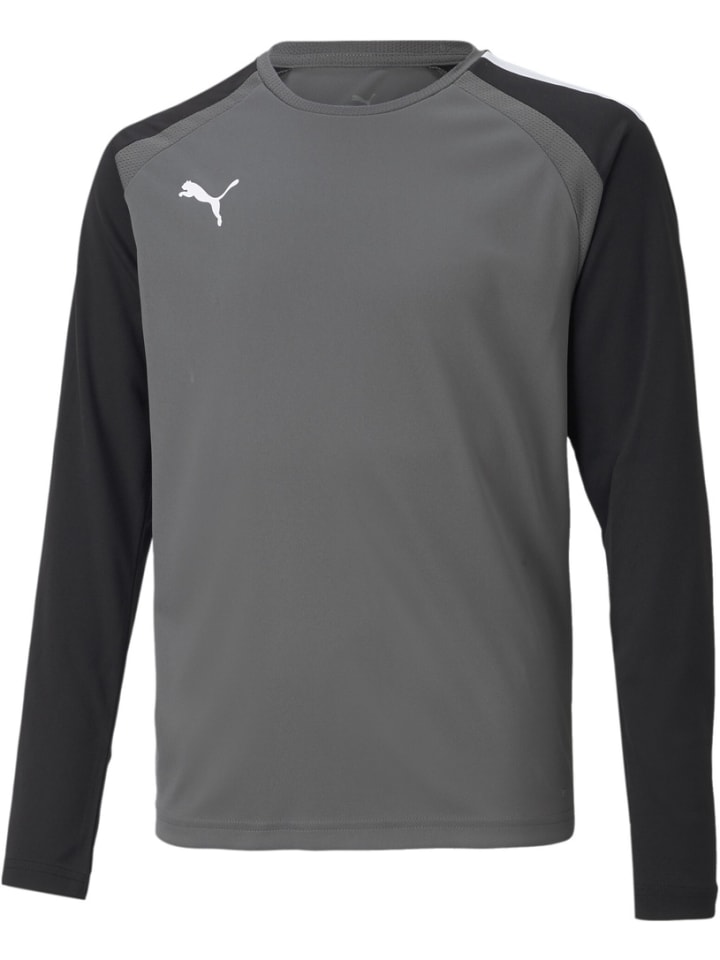

Спортивная футболка TeamPACER GK Longsleeve Jersey Jr серого цвета Puma