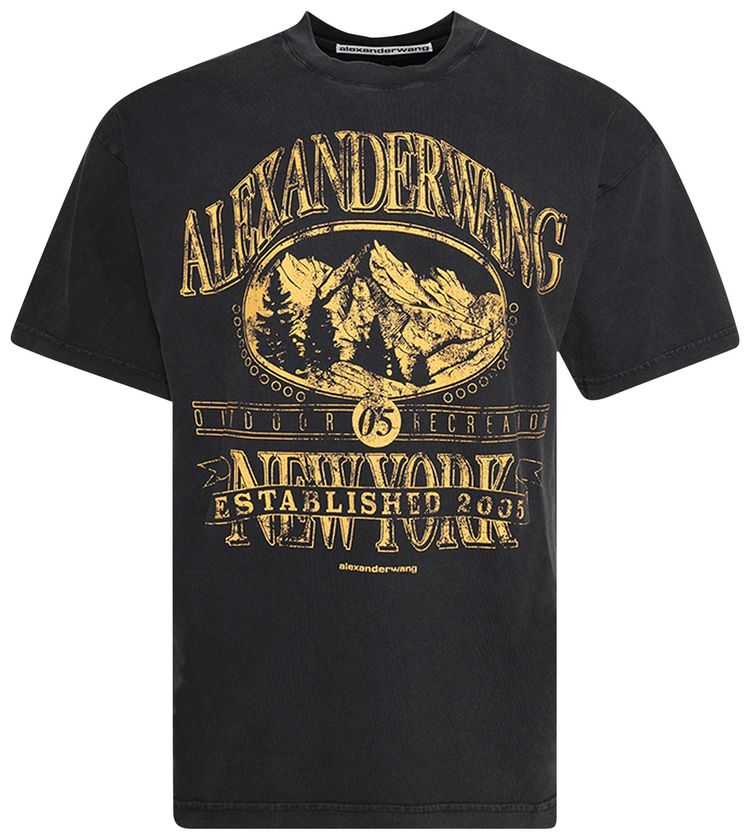 

Футболка с коротким рукавом Alexander Wang с графическим принтом "выцветший черный"