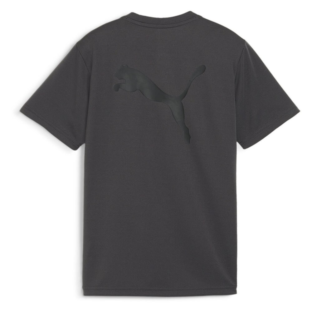 Футболка с коротким рукавом Puma Individualrise Logo Junior, серый — фото 2
