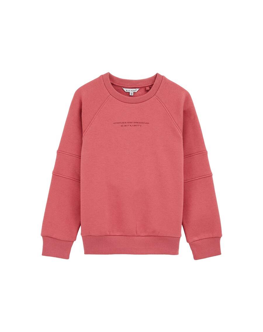 

Толстовка WE Fashion, Pink