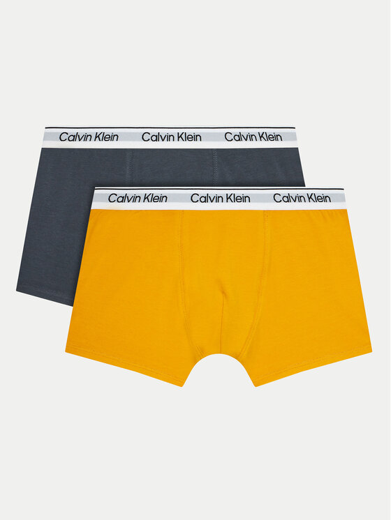 

Комплект из 2 боксеров Calvin Klein Underwear, мультиколор