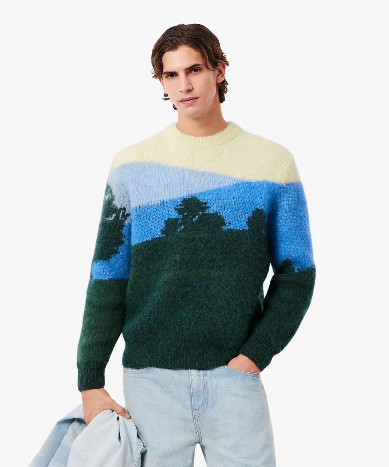 Свитер Lacoste Жаккардовый, зеленый