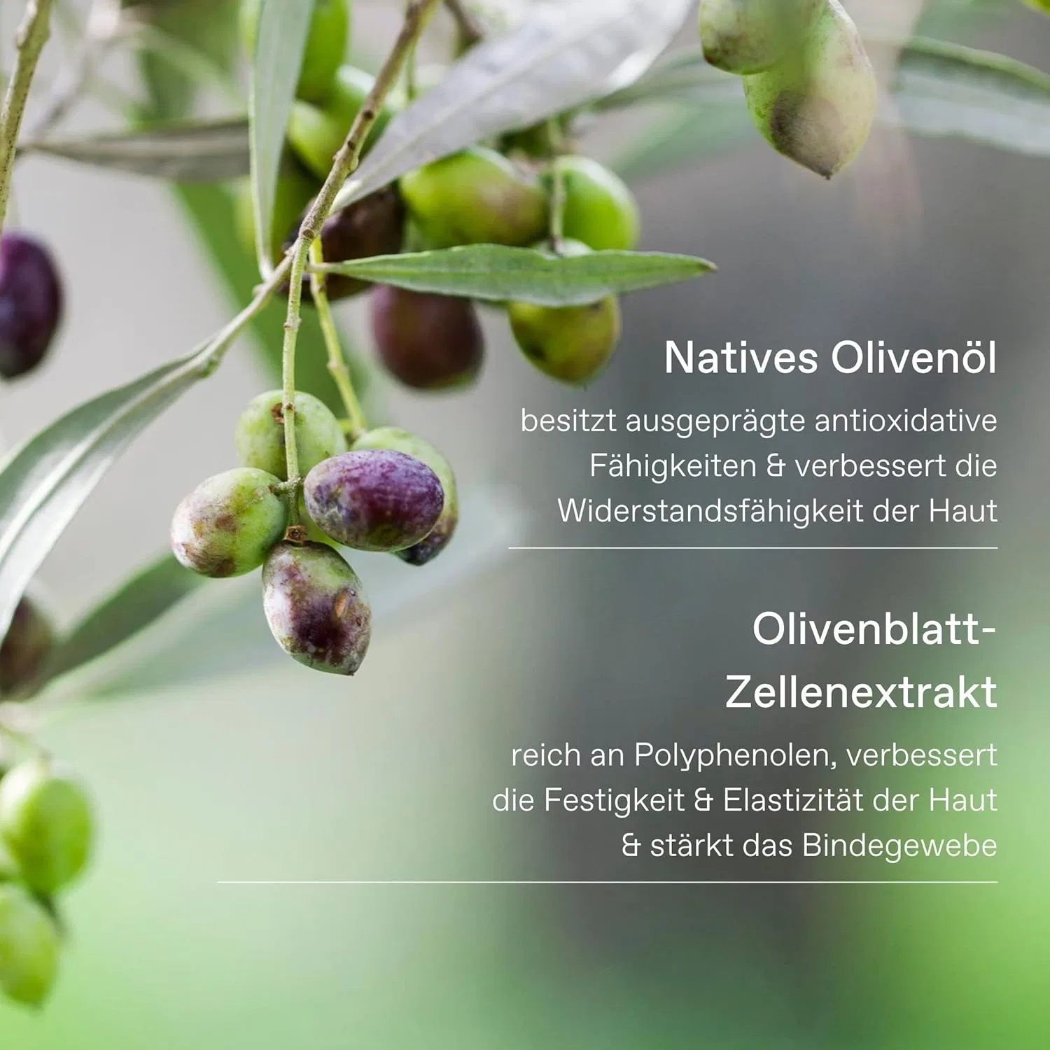 Гель для душа KORRES Olive Rose Flower для женщин и мужчин, 2 x 250 мл Korres — фото 2