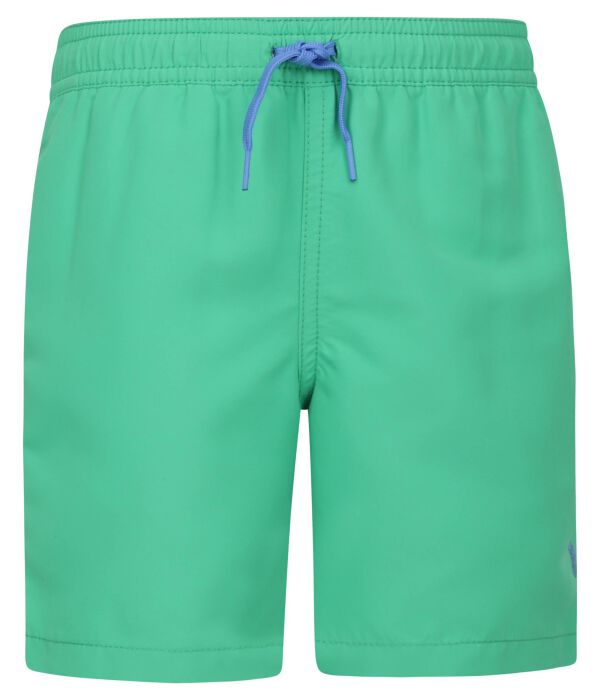 

Шорты для плавания Regular fit Polo Ralph Lauren, зеленый
